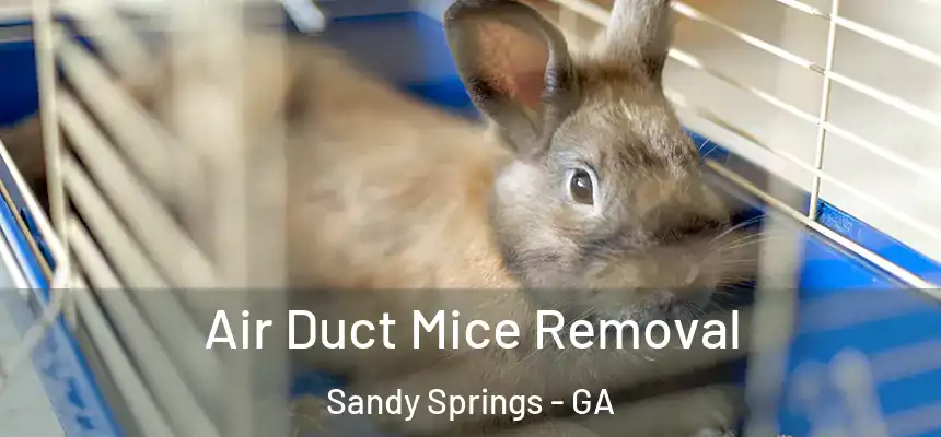  Air Duct Mice Removal Sandy Springs - GA