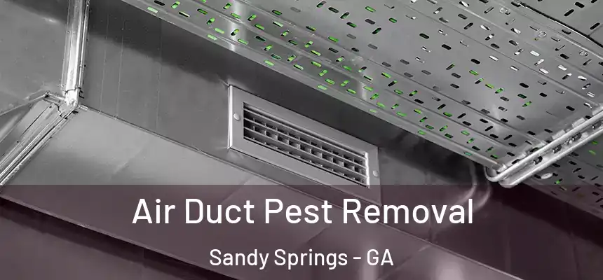  Air Duct Pest Removal Sandy Springs - GA