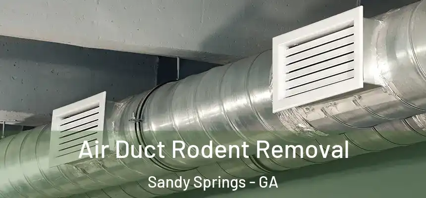  Air Duct Rodent Removal Sandy Springs - GA