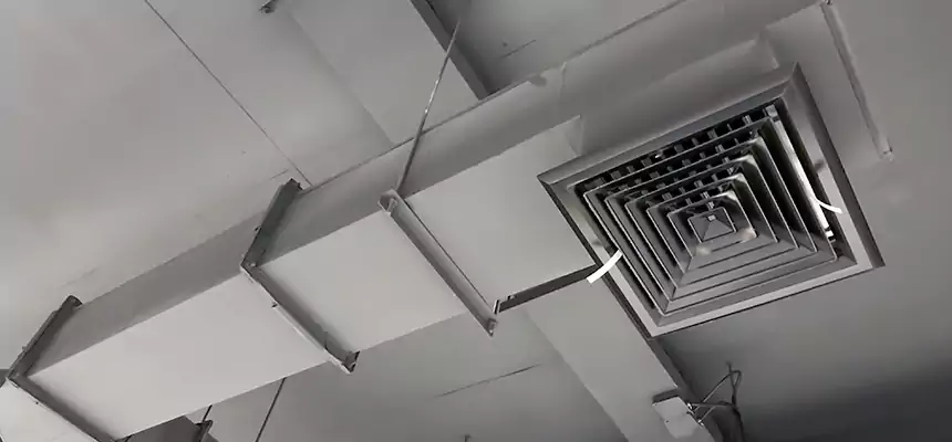 Our Rodent Droppings In Vents Services in Sandy Springs, GA