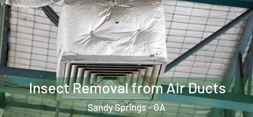  Insect Removal from Air Ducts Sandy Springs - GA