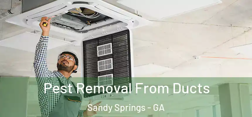  Pest Removal From Ducts Sandy Springs - GA