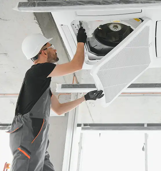 About Air Duct Rodent Removal in Sandy Springs, GA