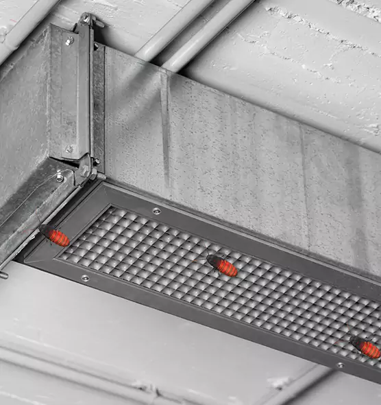 Affordable Insect Removal from Air Ducts in Sandy Springs, GA