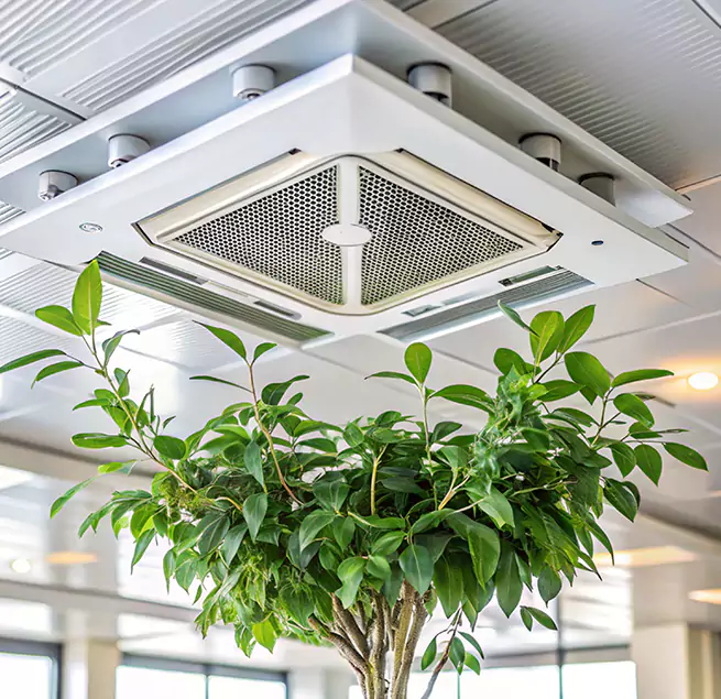 Why Homeowners & Businesses Trust Us in Sandy Springs, GA